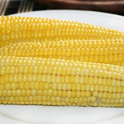 Сколько калорий в вареной кукурузе
